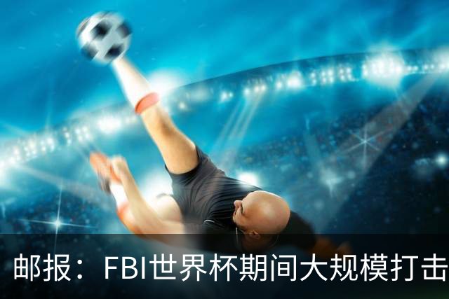 邮报：FBI世界杯期间大规模打击无人机活动，一名非法移民被捕